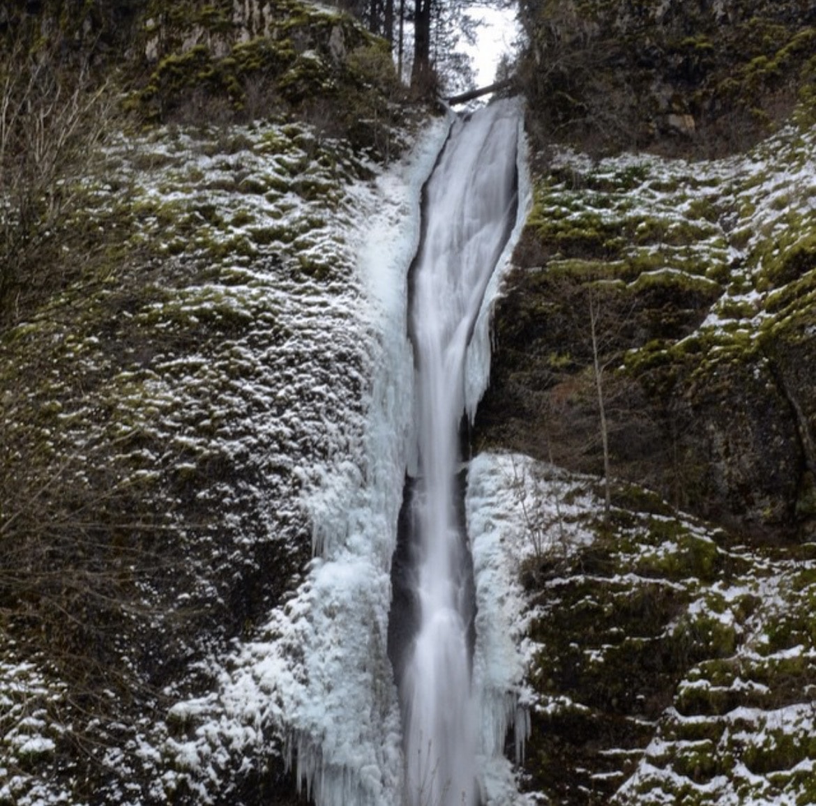 Horsetail falls in the Columbia River Gorge