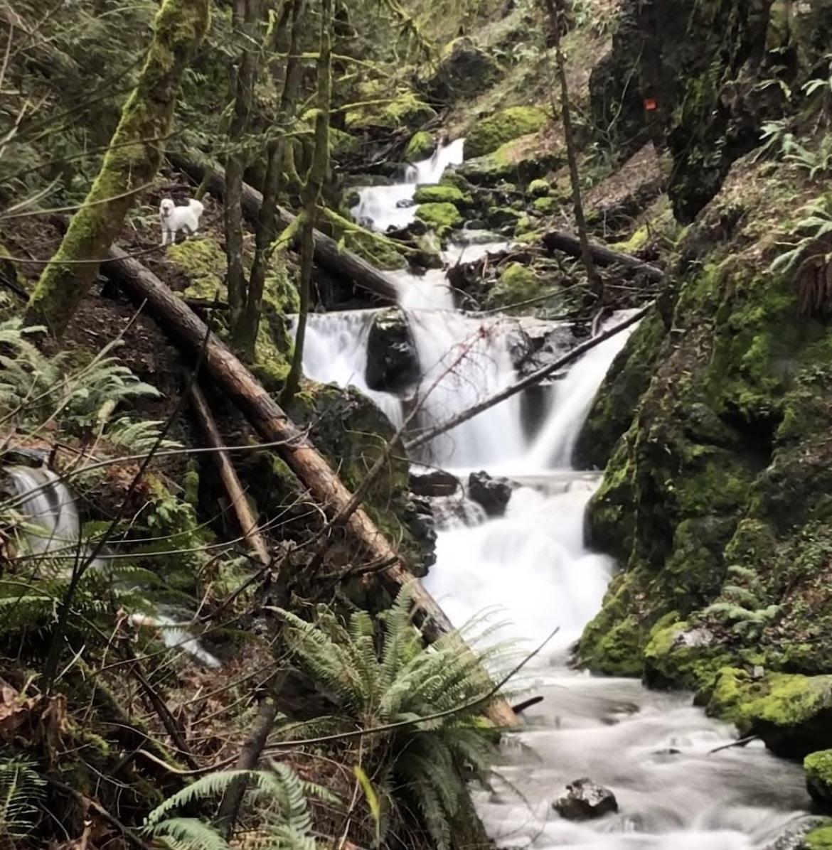 Emerald Falls along Gordon Creek