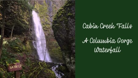 Cabin Creek Falls in a basalt canyon