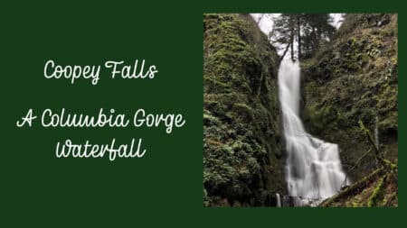 image of Coopey Falls a Columbia Gorge waterfall