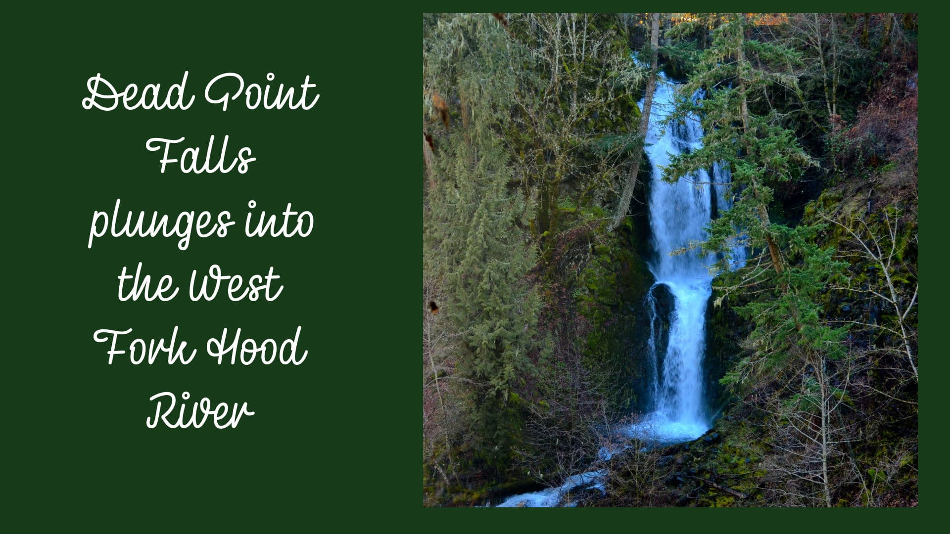 Dead Point Falls plunges into the West Fork Hood River