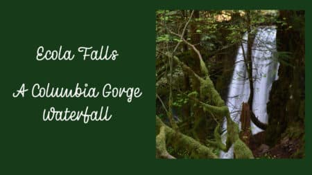 Ecola Falls - A Columbia Gorge Waterfall
