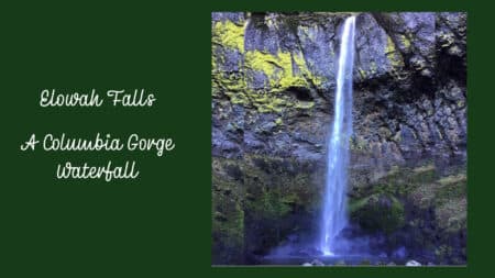 Elowah Falls cascading over lichen covered basalt walls