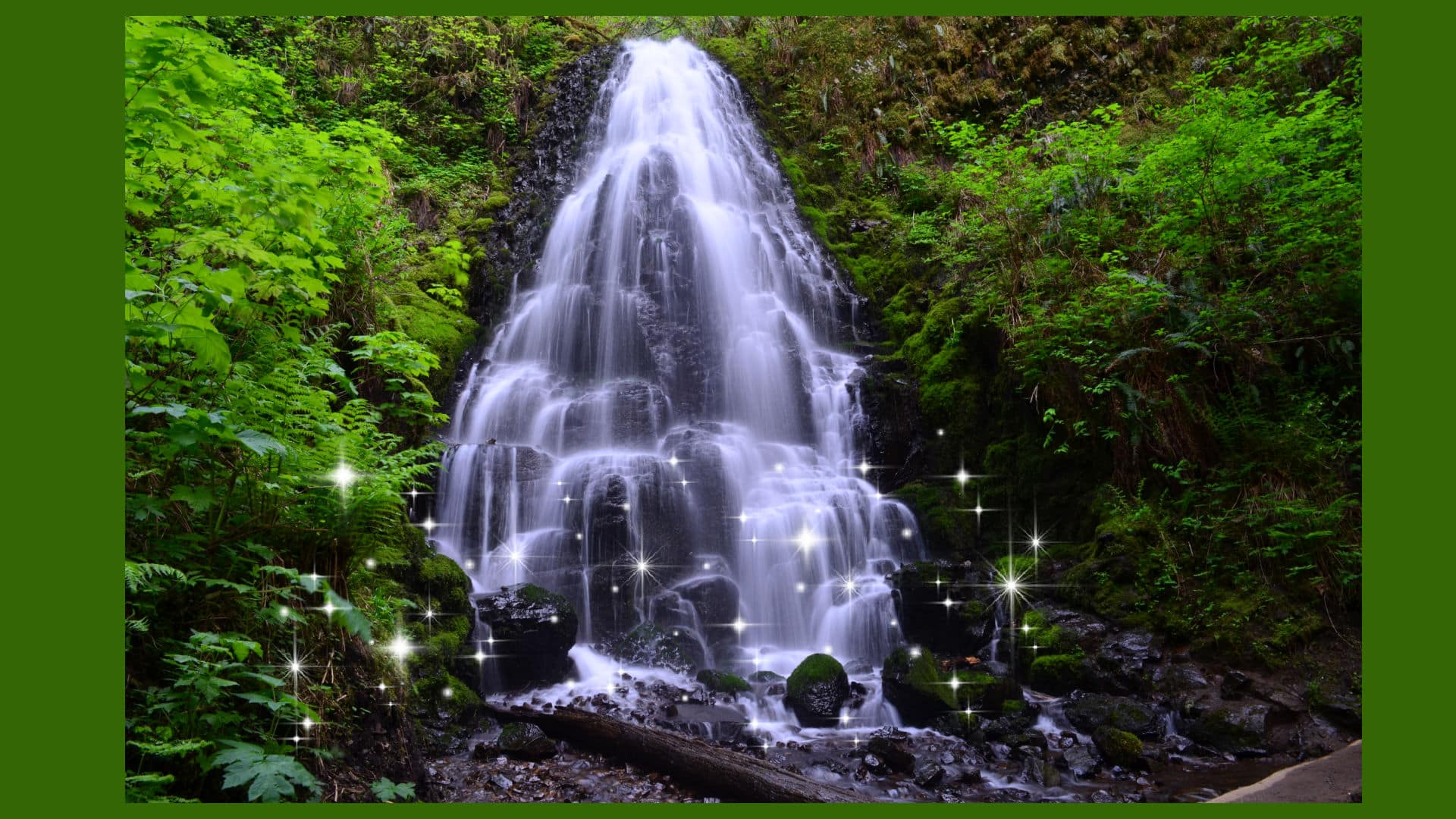 Fairy Falls surrounded by lush green ferns and forest