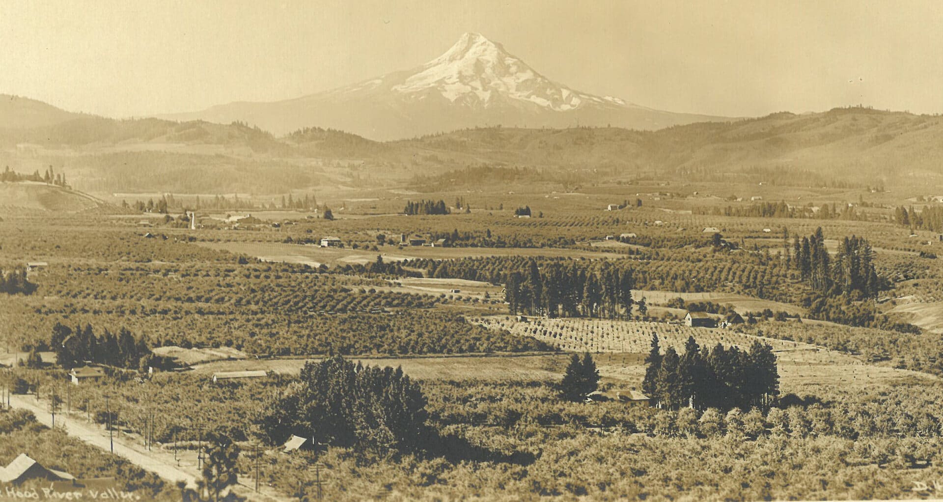 Hood River Valley orchards. Oregon Historical Society Research Library