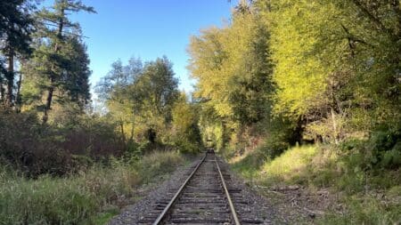 Mount Hood Railbikes traveling through fall forest