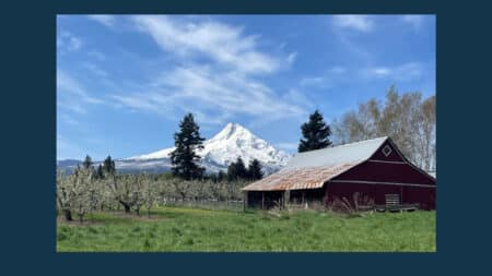 view of Mt Hood and Red Barn behind Solera Brewery