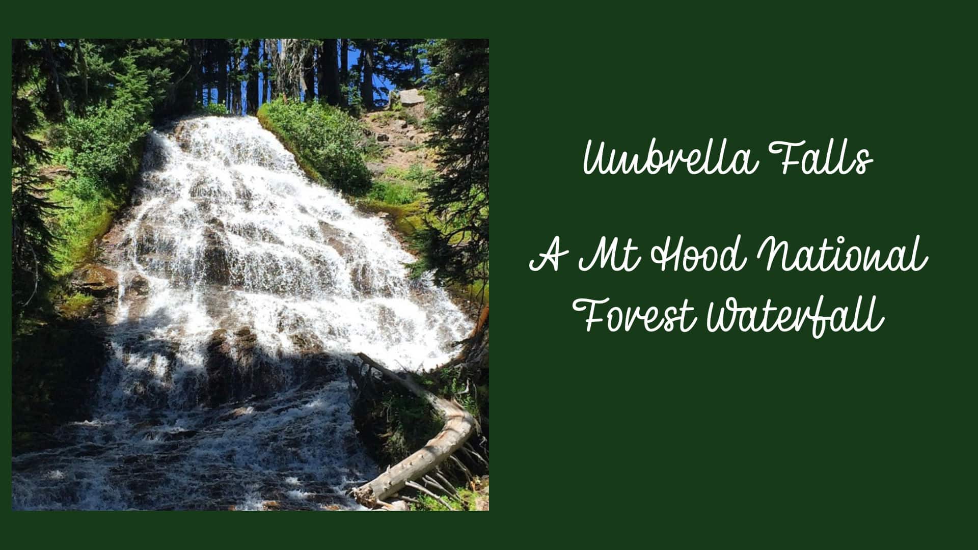 image of Umbrella Falls and the words a Mt Hood National Forest Waterfall