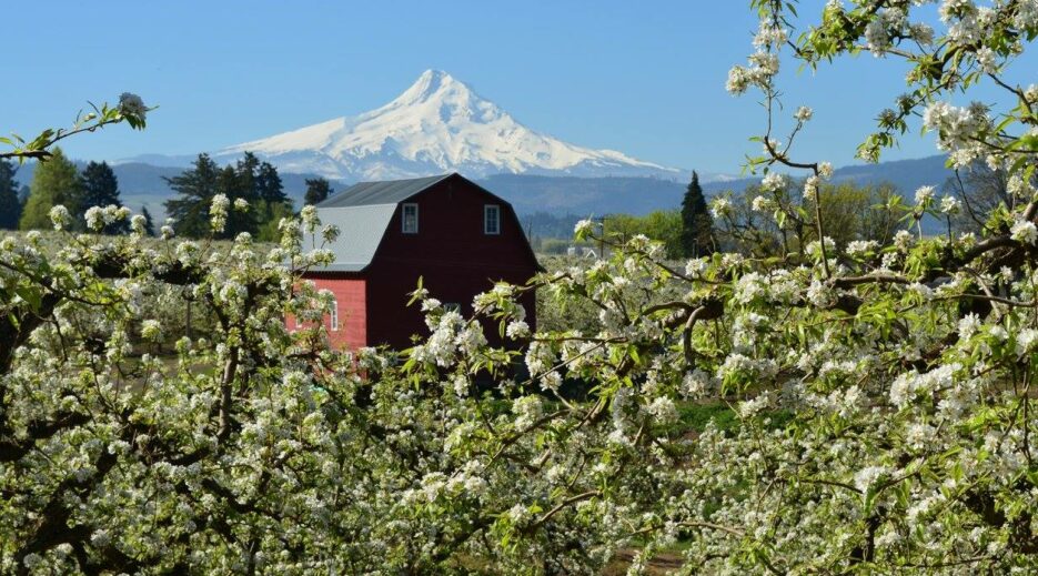 Three Oregon Scenic Byways lead to the Old Parkdale Inn, Old Parkdale Inn
