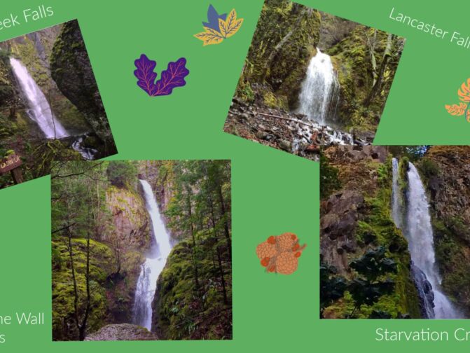 4 Starvation Creek Trail Waterfalls