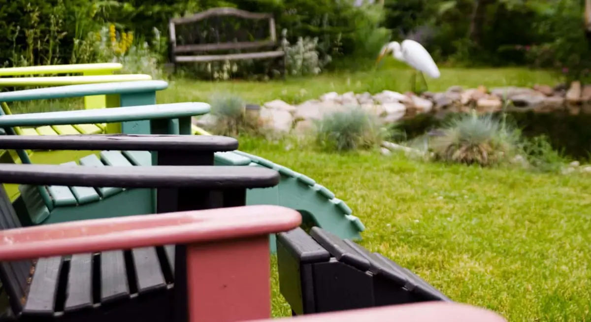 A serene outdoor space with colorful chairs, a small pond, and a bird in the background.