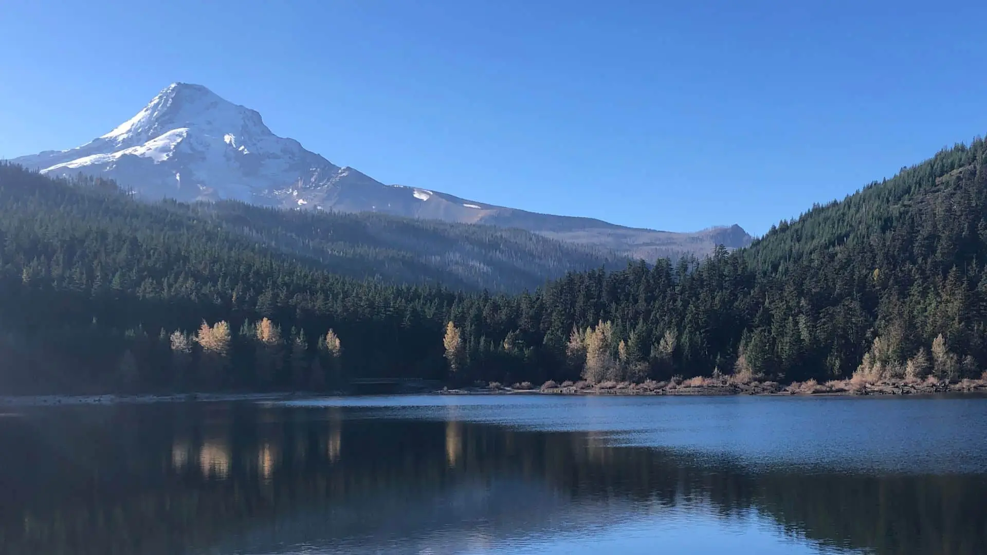 A serene landscape with a large snow-capped mountain in the background, a forest of evergreen trees, and a calm lake in the foreground.